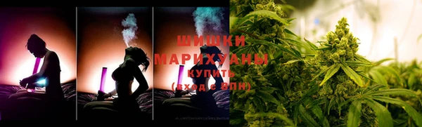 PSILOCYBIN Бородино